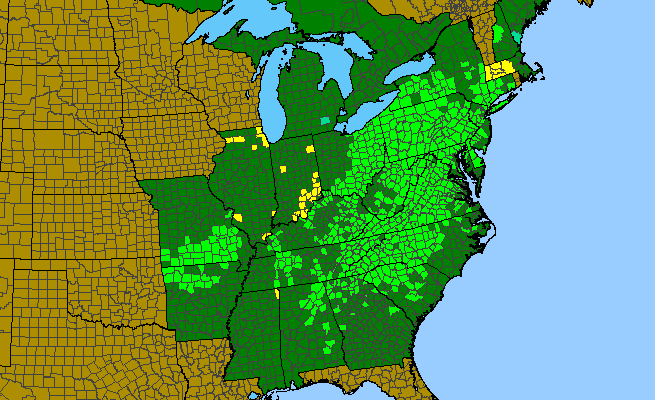 The range of Actaea racemosa